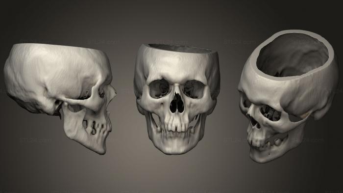 Анатомия скелеты и черепа (Череп Мужской 50лет, ANTM_1288) 3D модель для ЧПУ станка